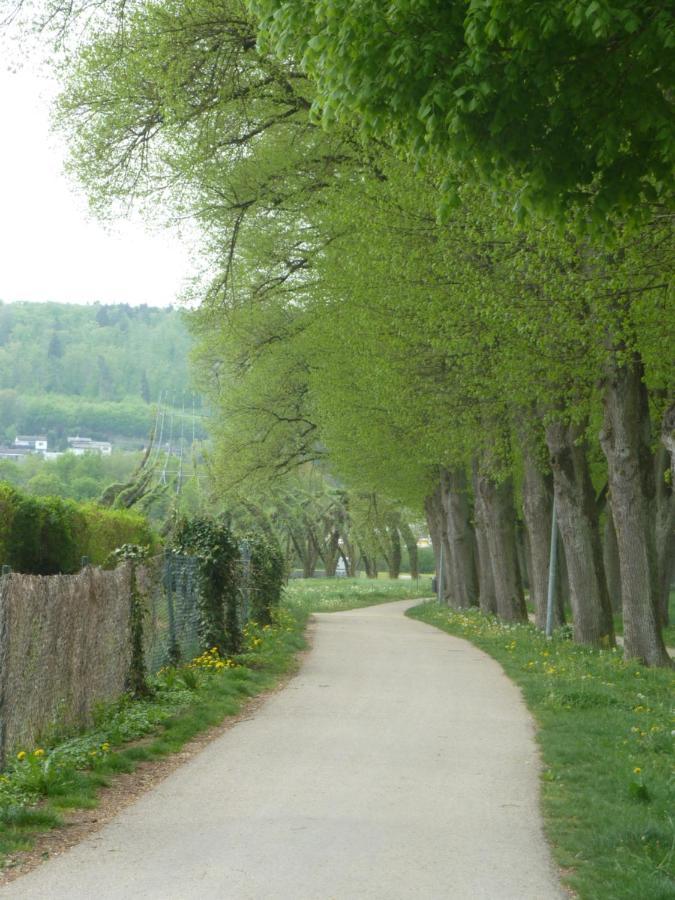 Ferienwohnung Zur Altmuehl Pappenheim Buitenkant foto